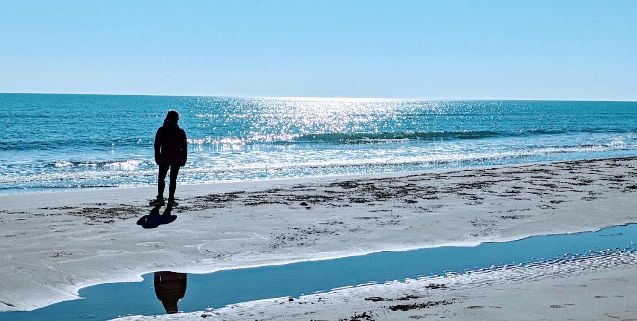 Ca Na Vinyet Villa Poblenou del Delta Dış mekan fotoğraf