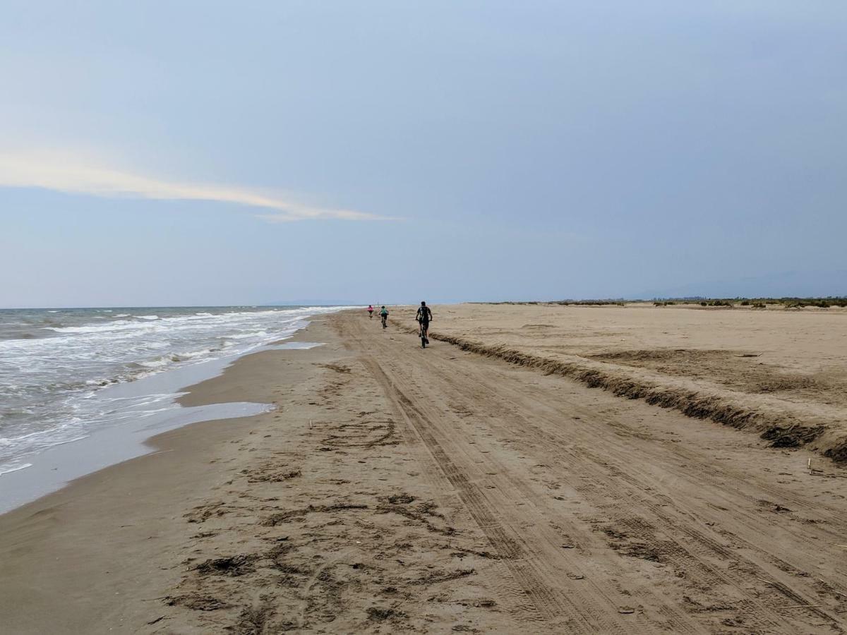 Ca Na Vinyet Villa Poblenou del Delta Dış mekan fotoğraf