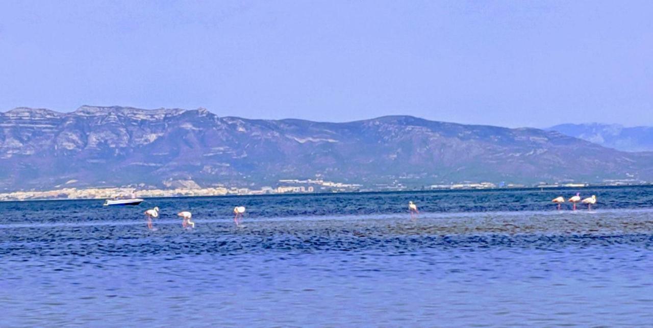 Ca Na Vinyet Villa Poblenou del Delta Dış mekan fotoğraf