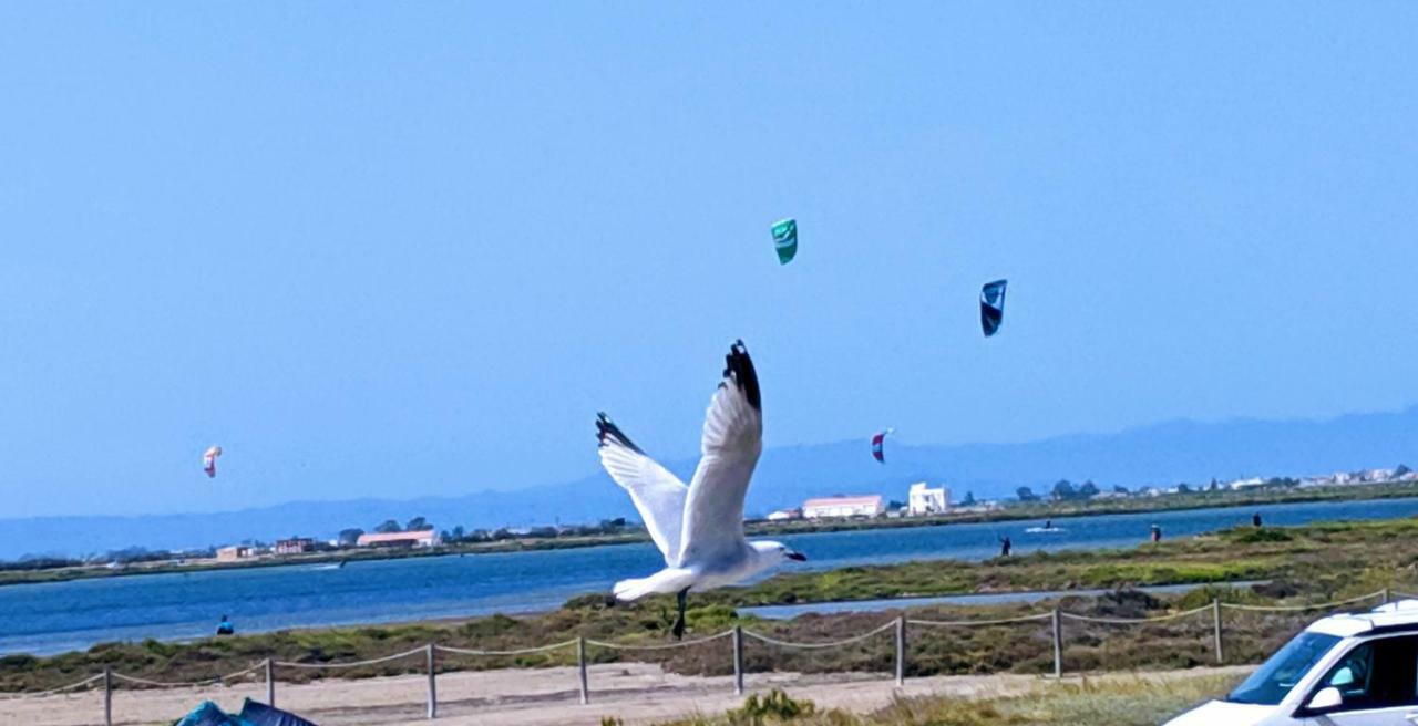 Ca Na Vinyet Villa Poblenou del Delta Dış mekan fotoğraf