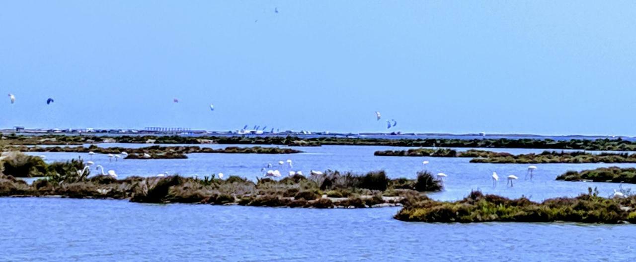 Ca Na Vinyet Villa Poblenou del Delta Dış mekan fotoğraf